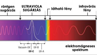 2.2)  Az UV-A sugárzás hatása