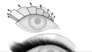 8.2) Pozícionálás tippek styling szerint